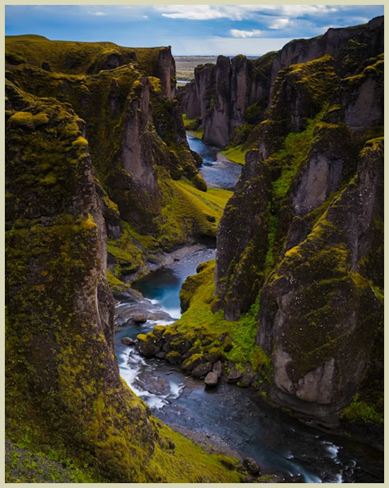 Nature Image