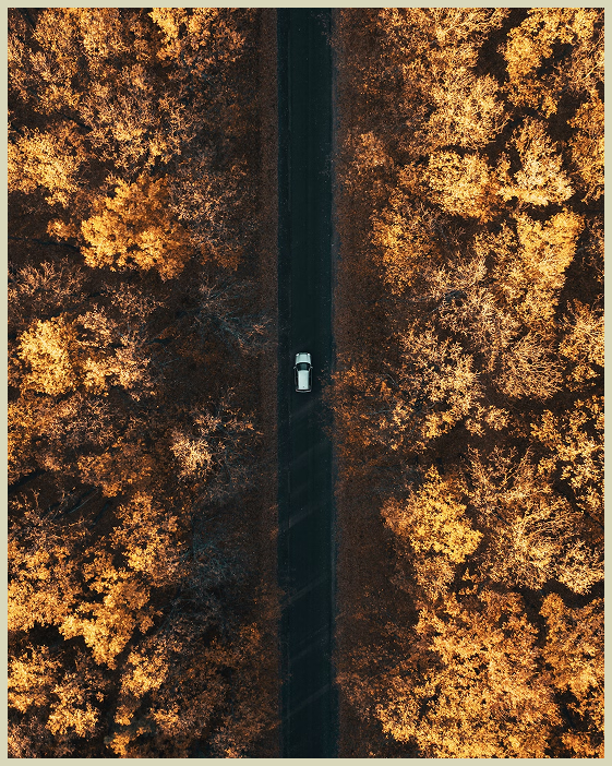 Nature Image